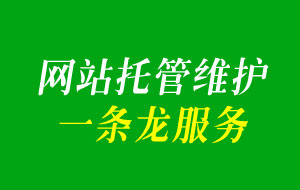 提升網站性能的托管方案